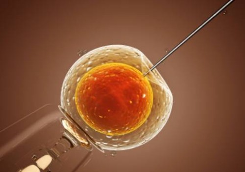 寧波試管助孕公司：靜脈曲張會(huì)不會(huì)遺傳，這些治療方式能有效幫助解決煩惱