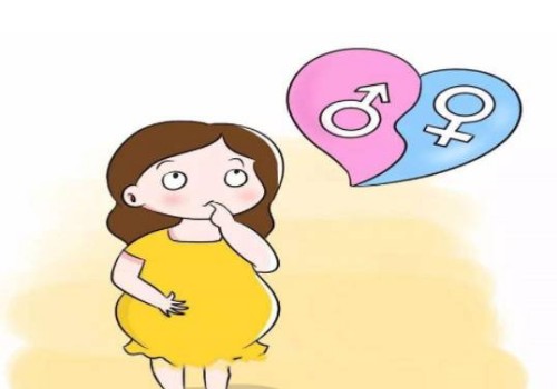 懷孕6個(gè)月的孕肚變化，這些事項(xiàng)孕媽媽要知道