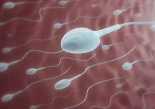 為什么懷孕吃螃蟹會流產(chǎn)，原因可能是這個