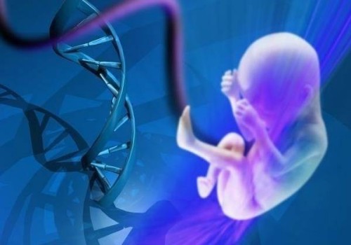 堵奶去醫(yī)院效果好還是找專業(yè)的催乳師好？盲目堵奶對身體并不好