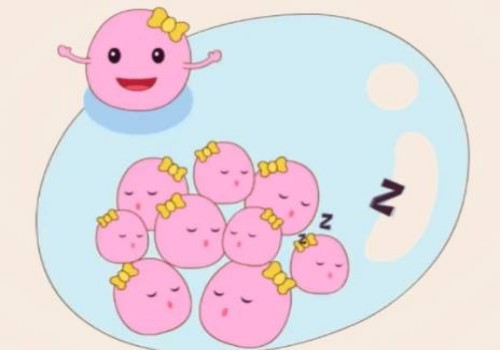 想知道寶寶性別？NT0.07胎心160輕松辨別男女