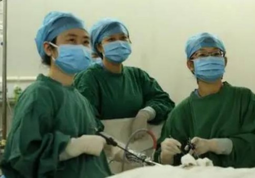 寧波三代試管助孕：孕囊大小與胎芽大小究竟有沒(méi)有關(guān)系？這份孕周對(duì)照表告訴你答案