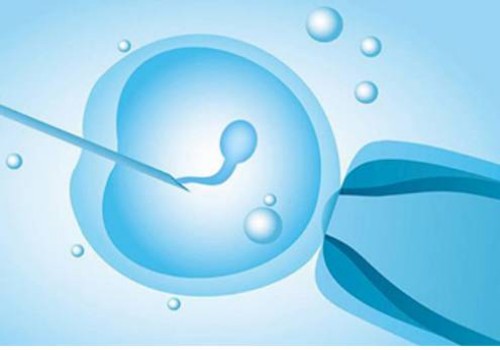 子宮前壁女兒后壁兒子沒(méi)有科學(xué)依據(jù)！胎兒性別與懷孕位置沒(méi)有關(guān)系