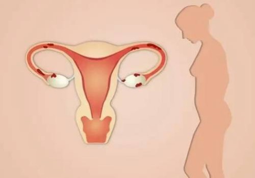 寧波供精試管：新生兒腸道發(fā)育不良危害大！家長(zhǎng)要著重預(yù)防，否則易耽誤發(fā)育