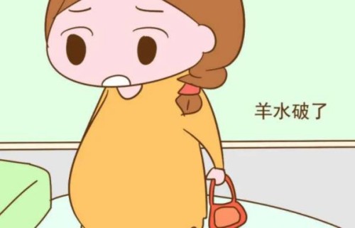 寧波供精試管：從內(nèi)褲的分泌物也能看出來懷的是男寶還是女寶？