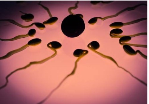 取卵后出現(xiàn)腹水用白蛋白消除效果好，具體需要使用幾天因人而異