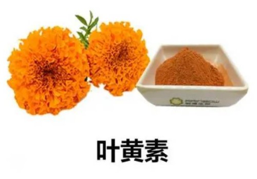 寧波試管嬰兒價(jià)格：懷孕期間服用中藥要小心，最好在醫(yī)生的指導(dǎo)下服用