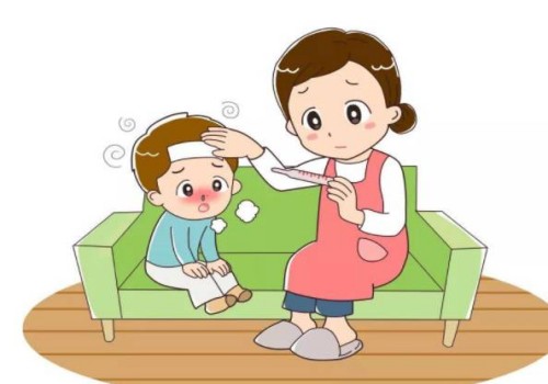 備孕期間卵泡發(fā)育不好，可以試試這幾類食物