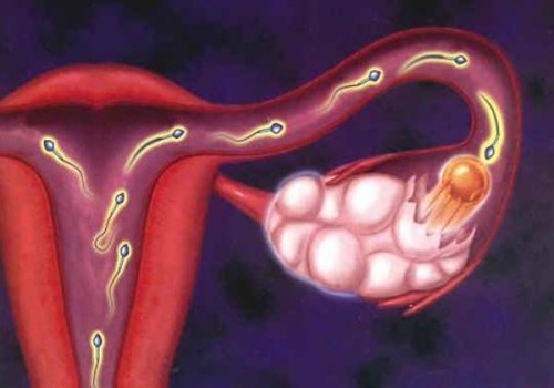 備孕調(diào)理子宮的方法一覽，喝中藥只是其中之一