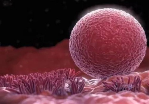 寧波助孕生子：盤點弱精癥的具體表現(xiàn)，附引發(fā)弱精癥的原因及治療措施