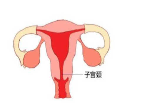 寧波助孕：順產(chǎn)和剖腹產(chǎn)優(yōu)缺點(diǎn)對(duì)比，給準(zhǔn)媽媽帶來(lái)最全面介紹