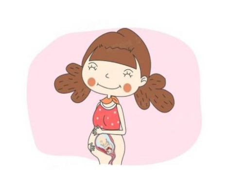 寧波正規(guī)助孕機(jī)構(gòu)：想知道寶寶性別？NT0.07胎心160輕松辨別男女